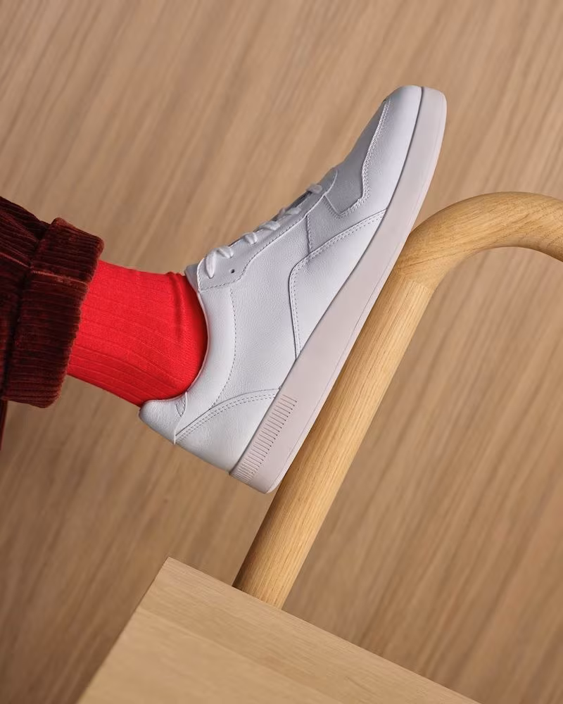 Everlane Court Sneaker