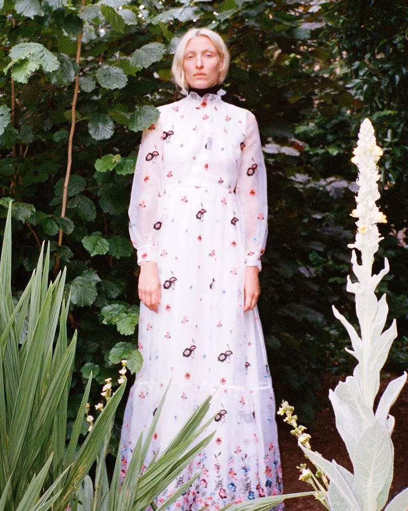 Erdem Clementine Floral-Embroidered Organza Gown
