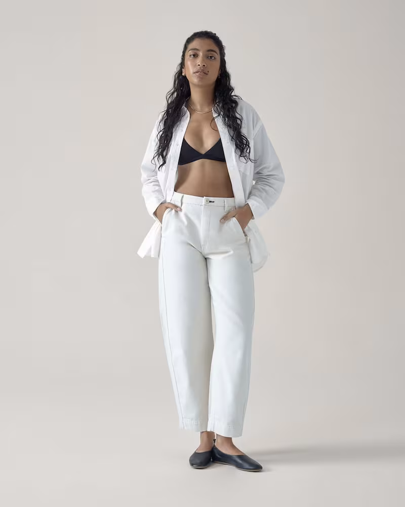 Everlane Arc Canvas Pant