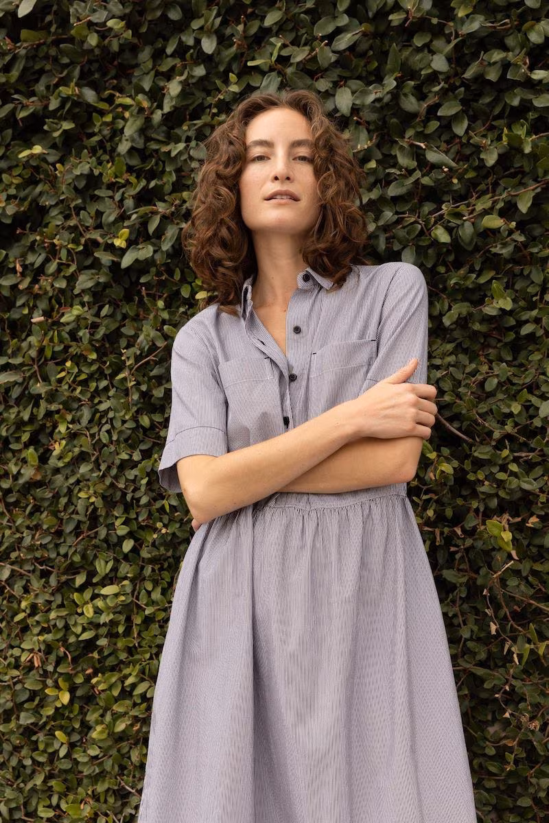 Everlane Parklet Shirtdress