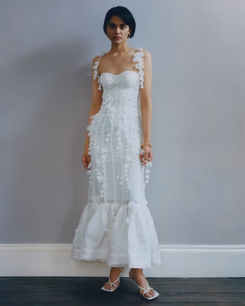 Zimmermann Botanica Petal-Trimmed Linen-Blend Organza Dress