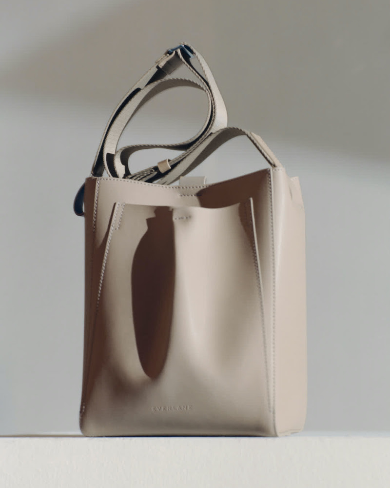 Everlane Italian Leather Mini Studio Bag