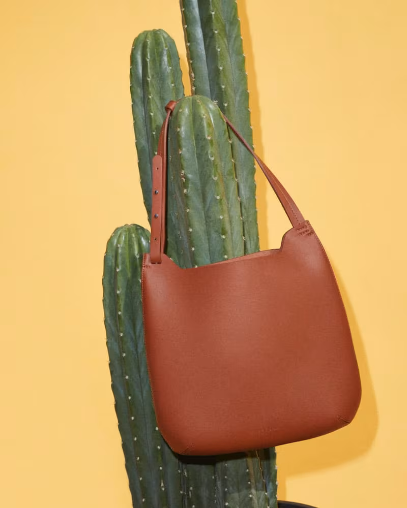 Everlane Cactus Leather Hobo