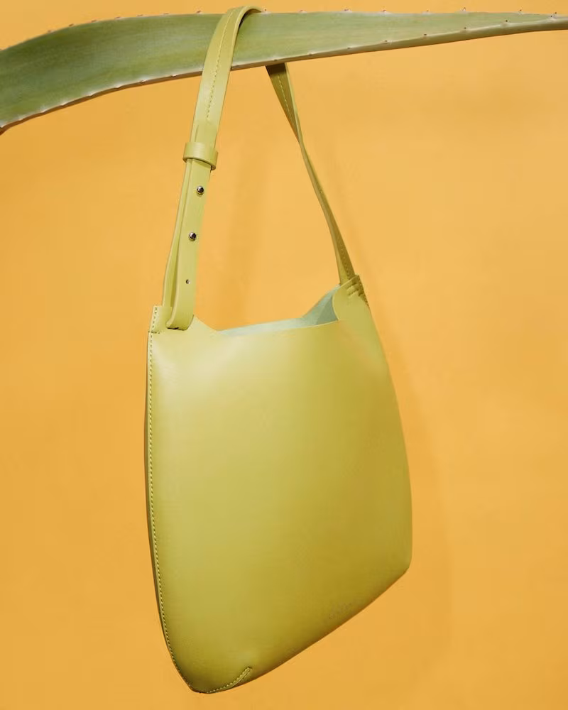 Everlane Cactus Leather Hobo