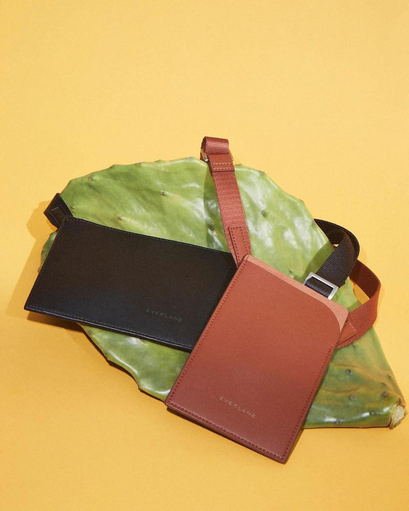 Everlane Cactus Leather Mini Sling Bag