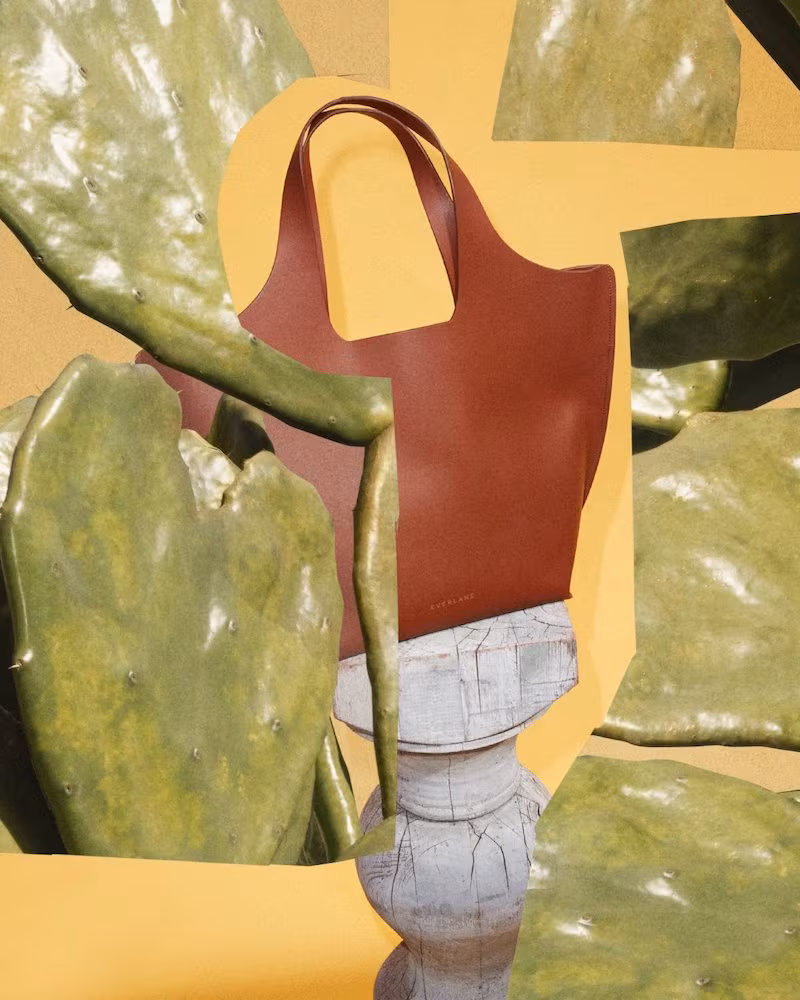 Everlane Cactus Triangle Tote