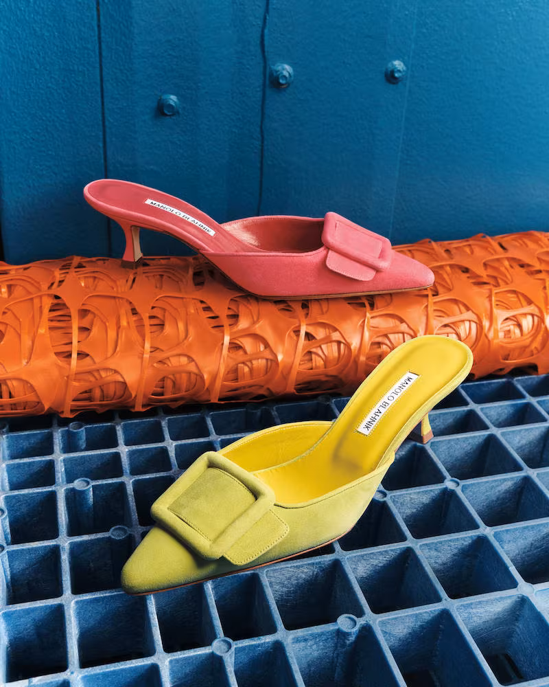 Manolo Blahnik Maysale Suede Buckle Mules